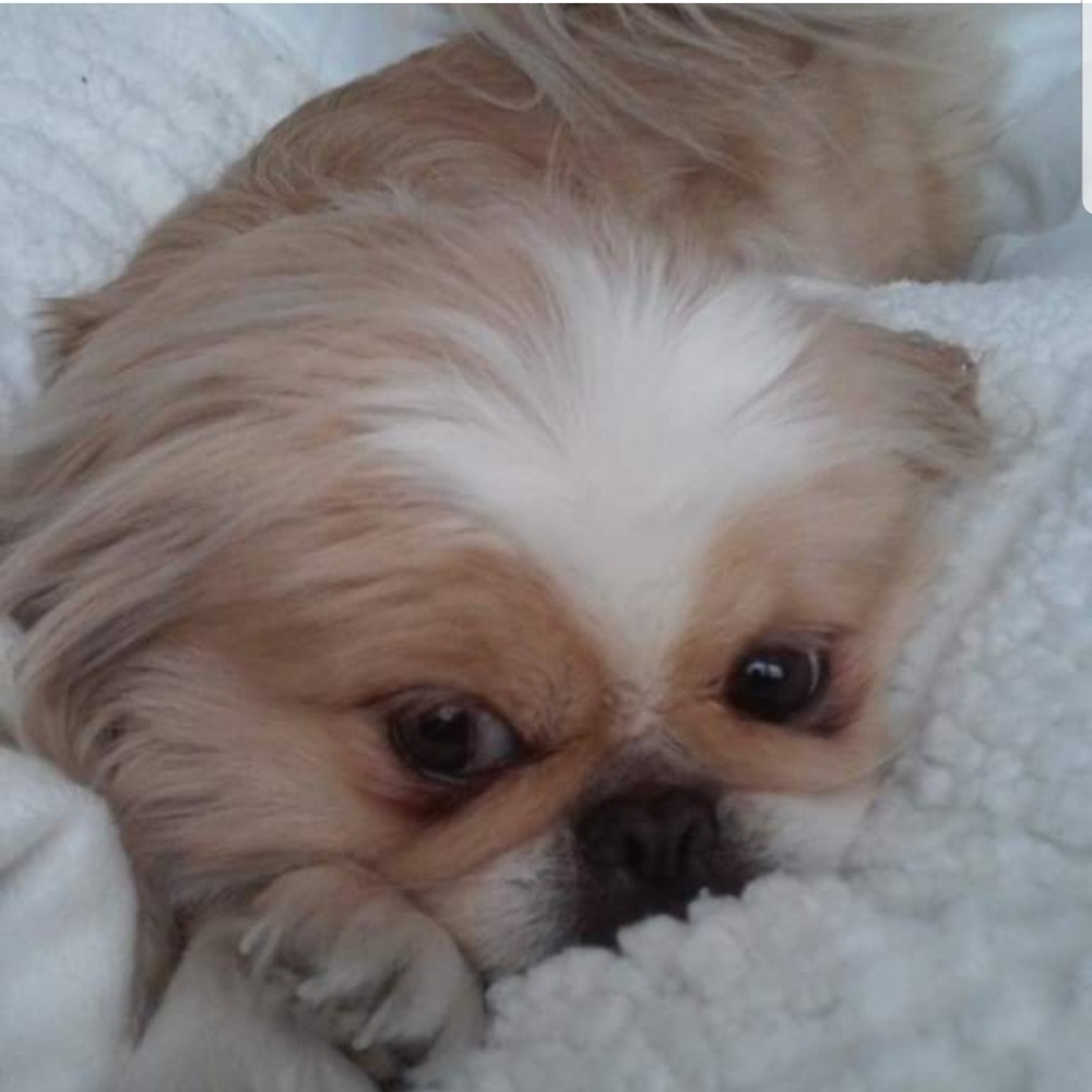 Meet your Posher, Maribel